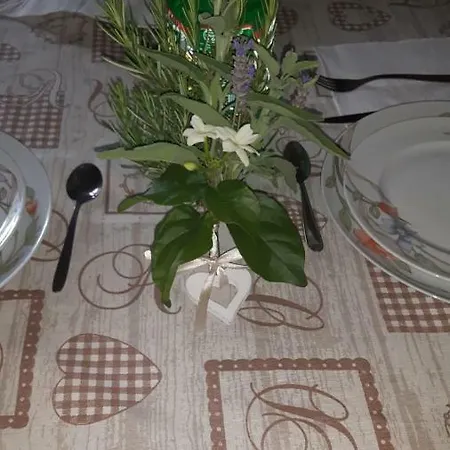 Nuzzi Appartamento